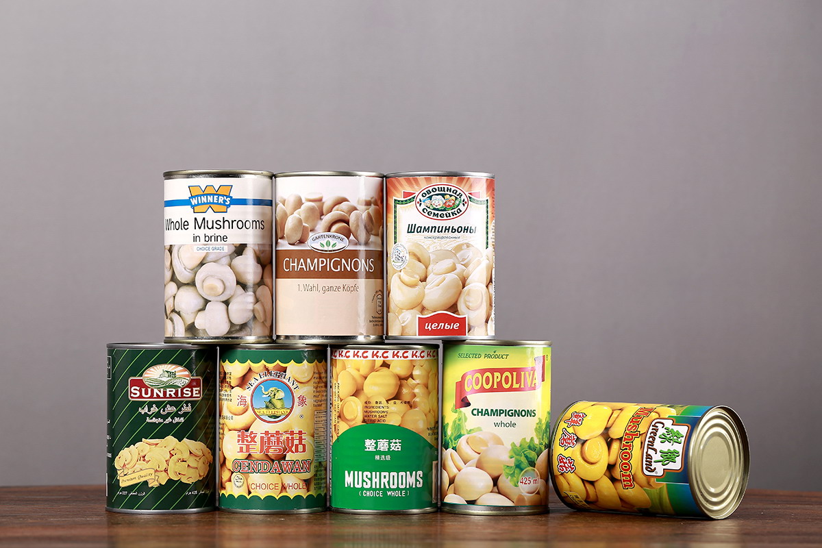 XPJ·娱乐(中国游)官方网站