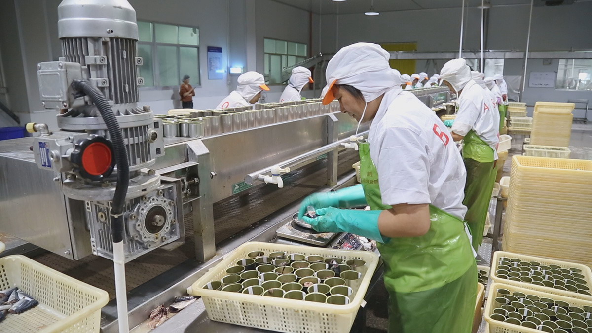 XPJ·娱乐(中国游)官方网站