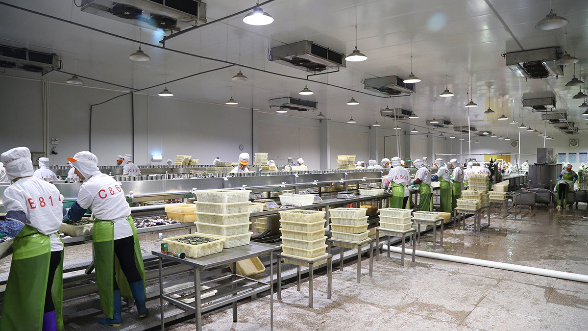 XPJ·娱乐(中国游)官方网站