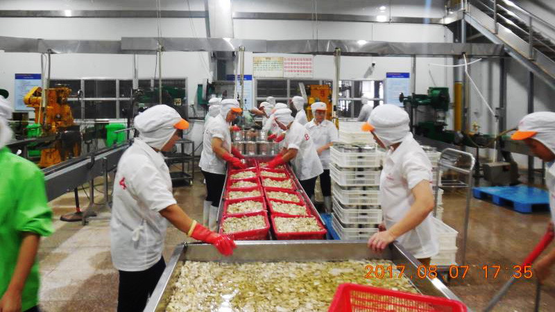 XPJ·娱乐(中国游)官方网站