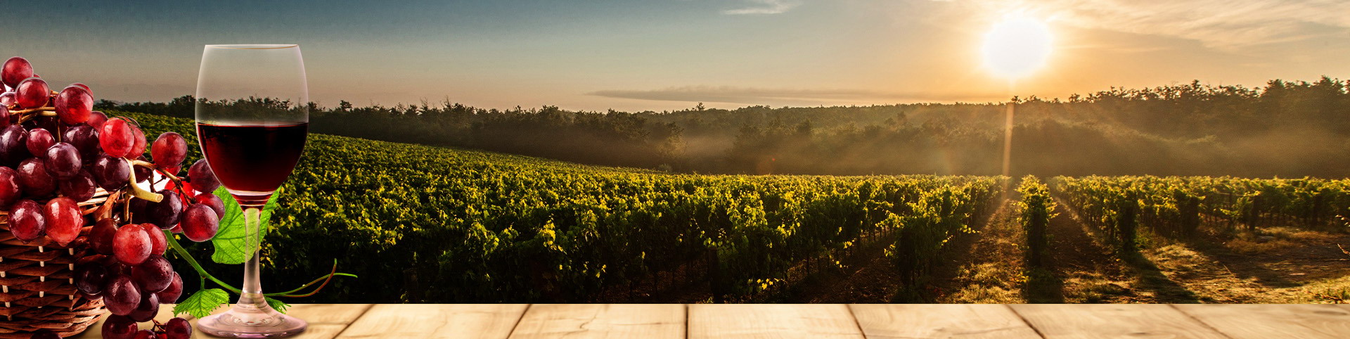 XPJ·娱乐(中国游)官方网站