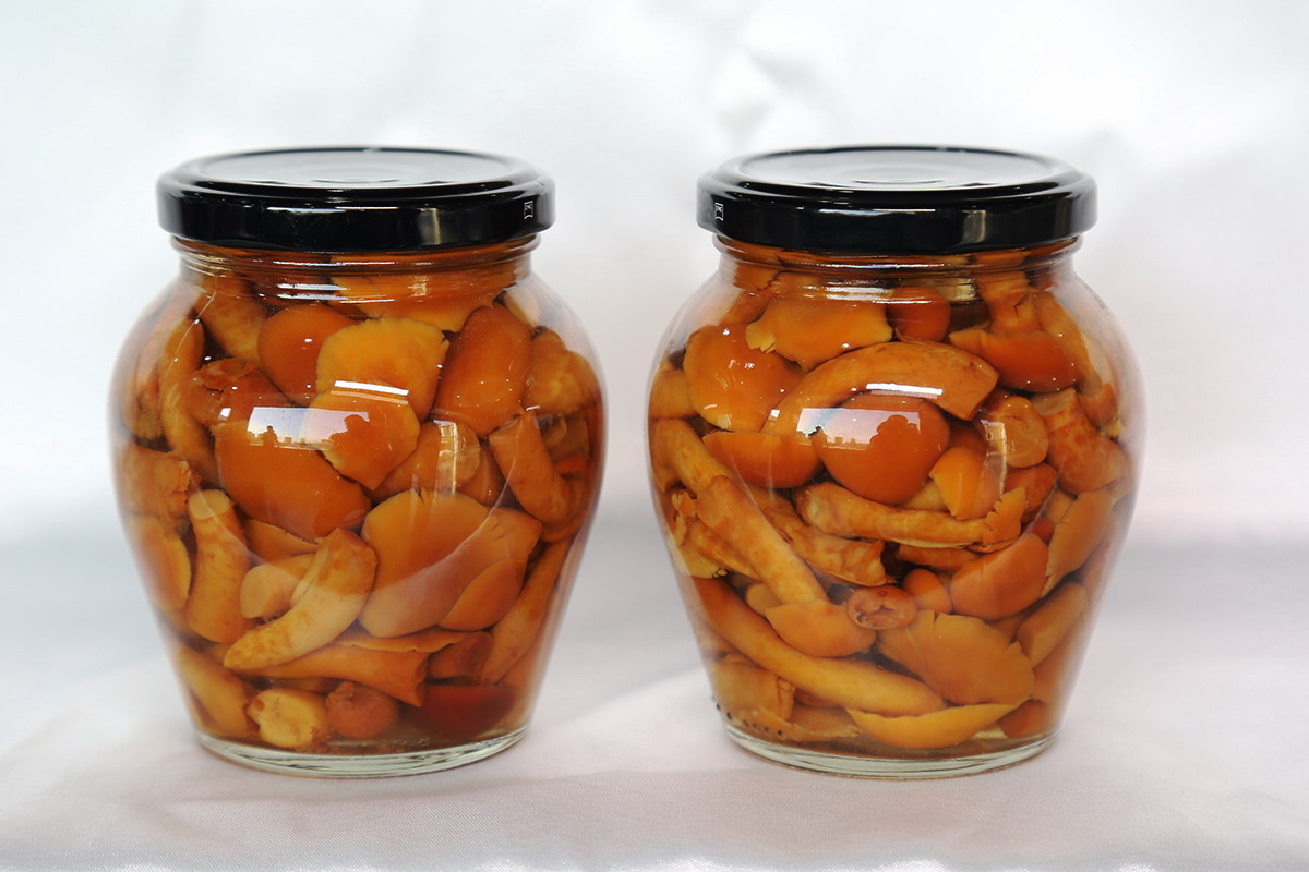 XPJ·娱乐(中国游)官方网站