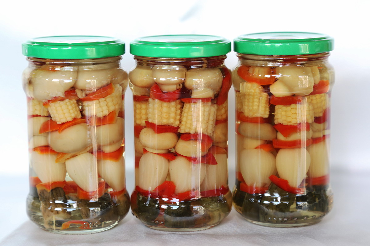 XPJ·娱乐(中国游)官方网站