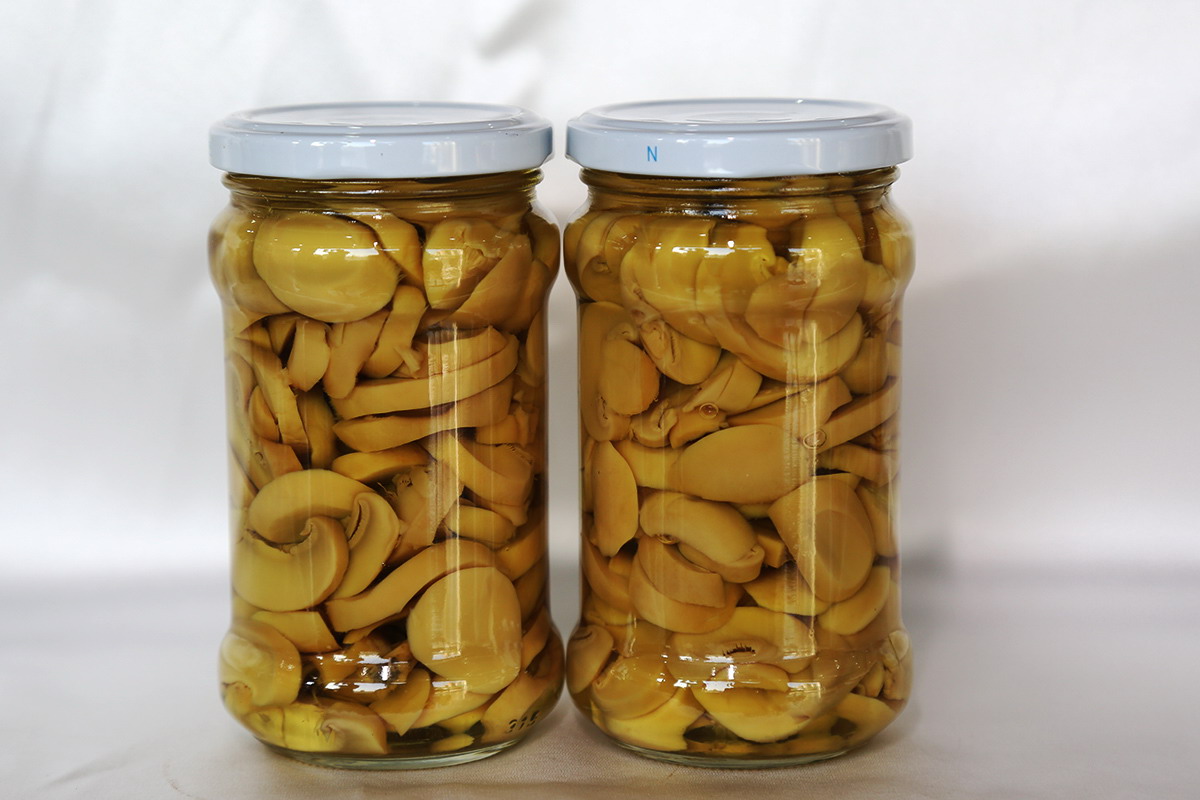 XPJ·娱乐(中国游)官方网站