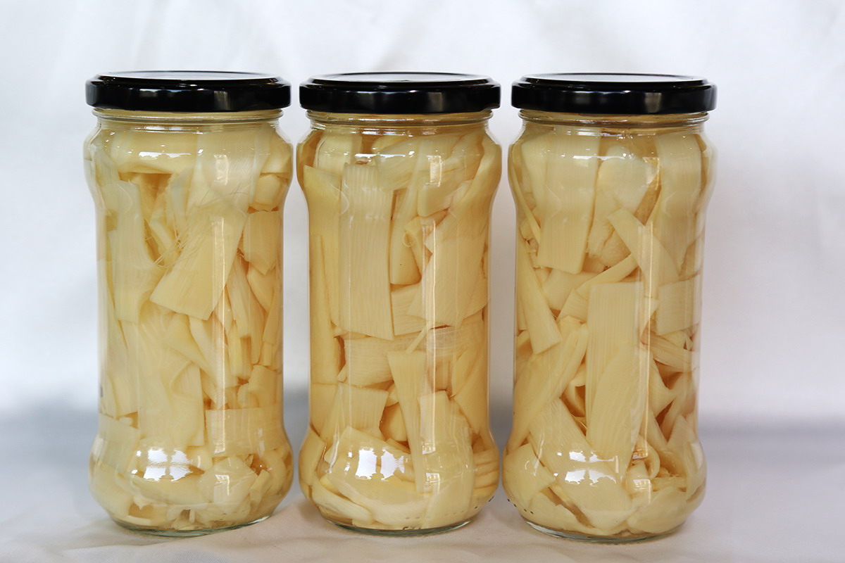 XPJ·娱乐(中国游)官方网站