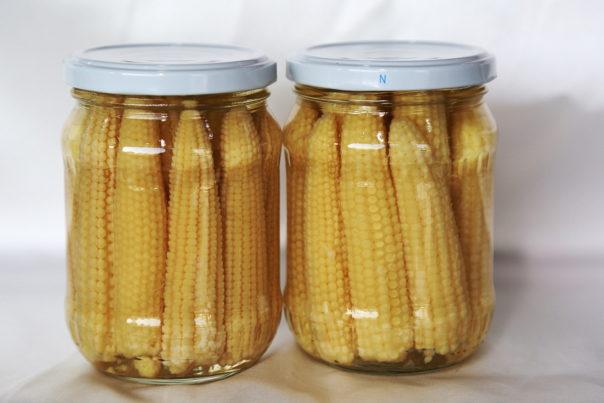 XPJ·娱乐(中国游)官方网站