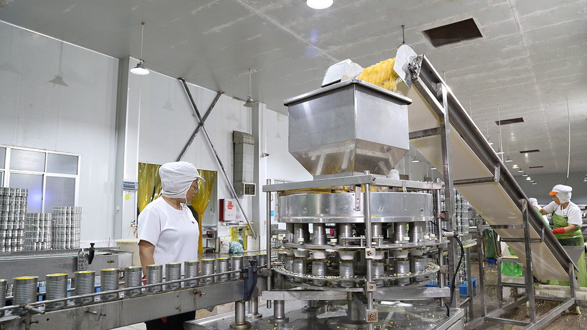 XPJ·娱乐(中国游)官方网站