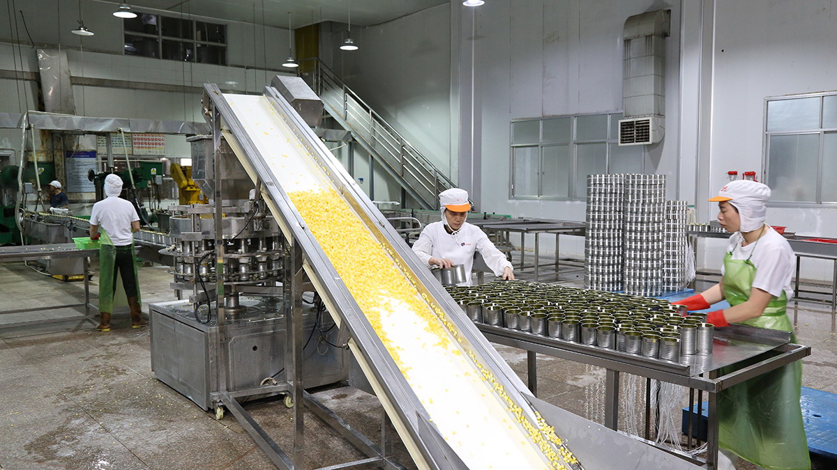 XPJ·娱乐(中国游)官方网站